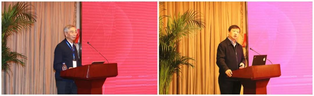 1615787136.jpg 1615787136.jpg